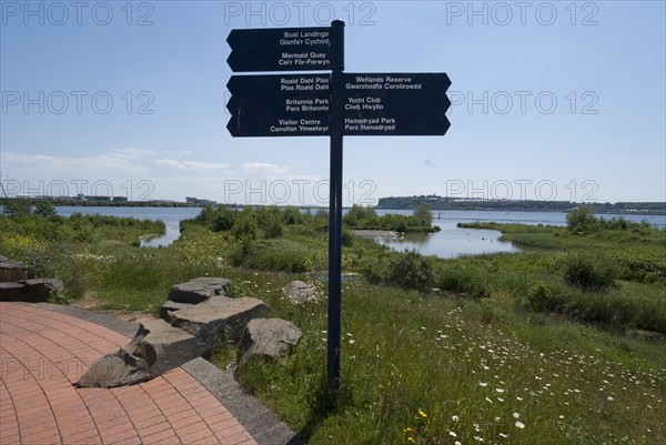 Cardiff, Wetlands Reserve, 2009. Creator: Ethel Davies.