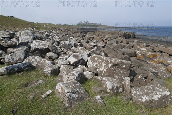 Dunstanburgh, 2006. Creator: Ethel Davies.