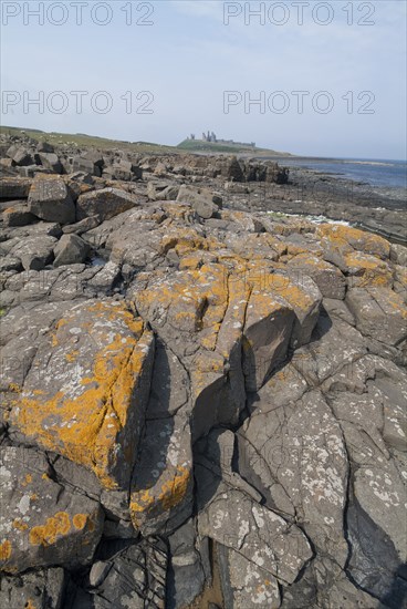 Dunstanburgh, 2006. Creator: Ethel Davies.