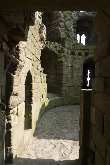 Dunstanburgh, 2006. Creator: Ethel Davies.