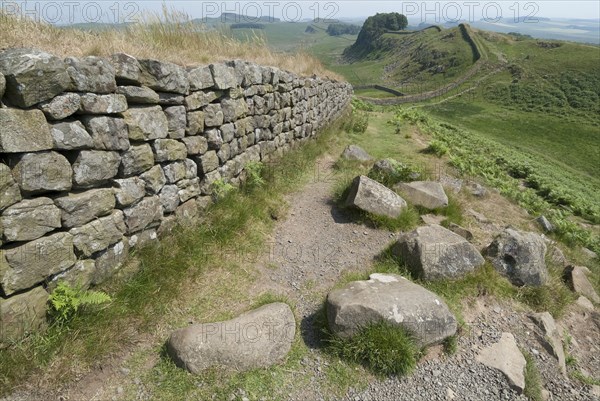 Hadrian's Wall, 2006. Creator: Ethel Davies.