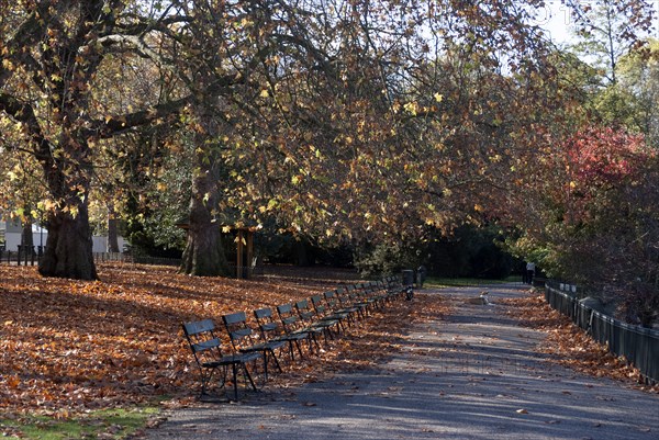 UK, London, Battersea Park, 2009. Creator: Ethel Davies.