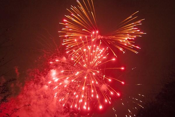 UK, London, Guy Fawkes, Ravenscourt Pk, 2009. Creator: Ethel Davies.