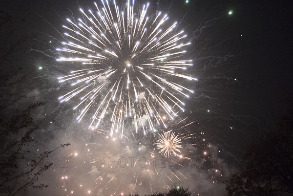 UK, London, Guy Fawkes, Ravenscourt Pk, 2009. Creator: Ethel Davies.