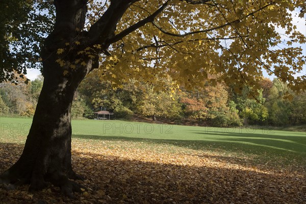 UK, London, Hampstead Heath, 2009. Creator: Ethel Davies.