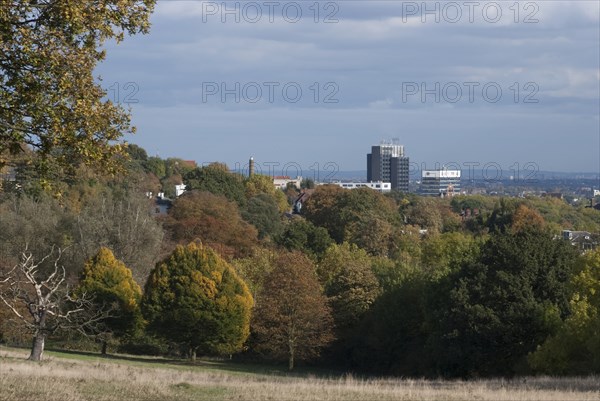 UK, London, Hampstead Heath, 2009. Creator: Ethel Davies.