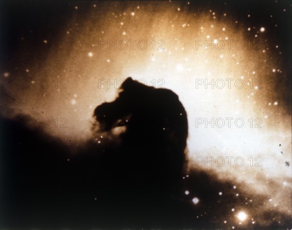 Horsehead Nebula in Orion. Creator: NASA.