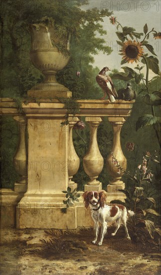 Pigeons and a dog in a garden, c1660-1690. Creator: Melchior d'Hondecoeter.