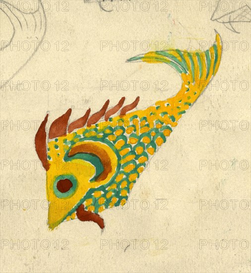 Fish illustration, c1950. Creator: Shirley Markham.