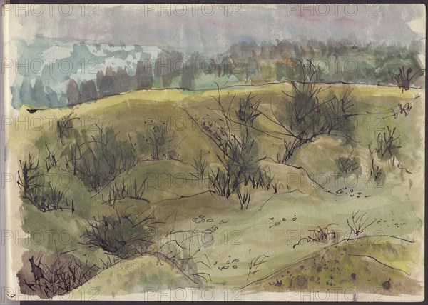 Landscape with bushes, Italy, c1950. Creator: Shirley Markham.