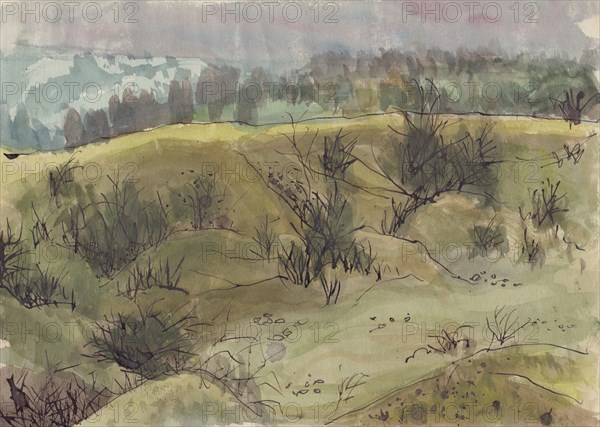 Landscape with bushes, Italy, c1950. Creator: Shirley Markham.