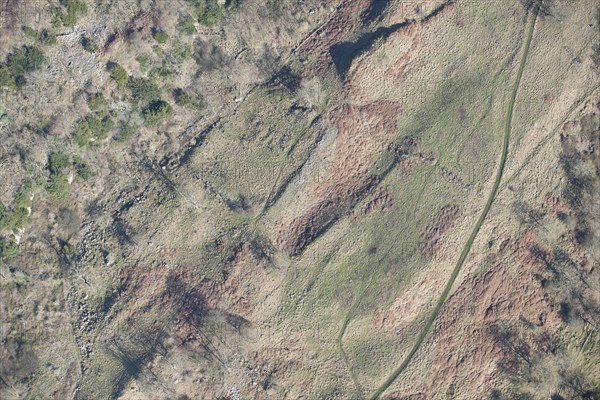 Romano-British enclosed settlement containing a hut circle, Whitcliffe Scar, North Yorkshire, 2014 Creator