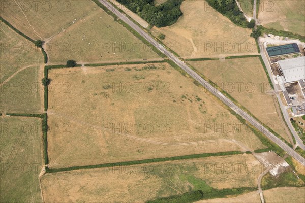 Earthwork remains of Witham Priory, Witham Friary, Somerset, 2018