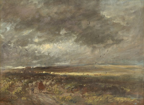 Moorland landscape