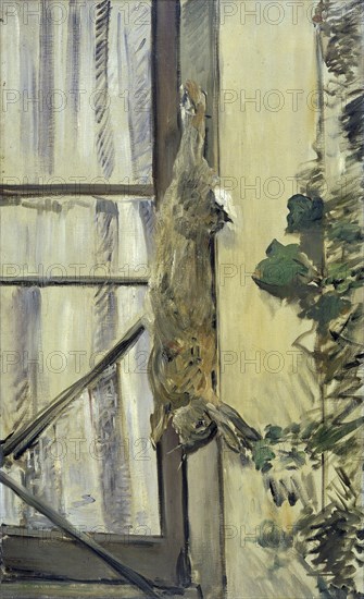 The rabbit, 1881.