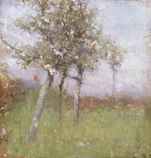 Apple blossom, 1885.