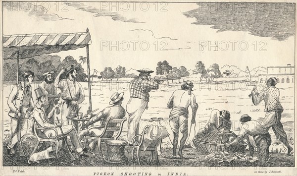 Pigeon Shooting in India', 19th century.
