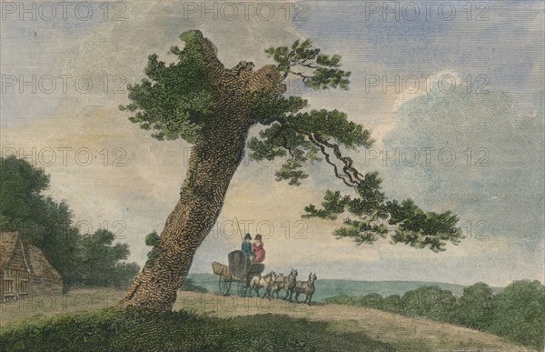 Rural Subject', 1804.