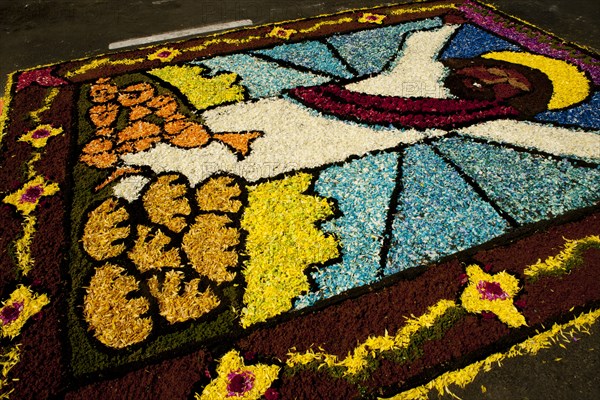 Holy Week Surco Flower Carpet, Lima, Peru, 2015.