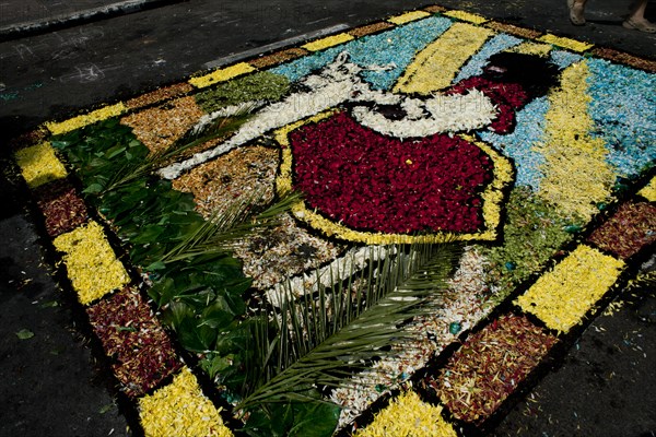 Holy Week Surco Flower Carpet, Lima, Peru, 2015.