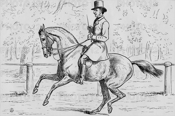 A Morning Canter in the Park', 1881.