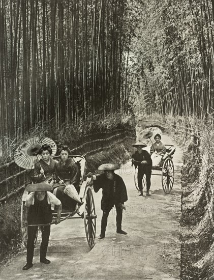 A Bamboo Avenue at Kyoto', 1910.