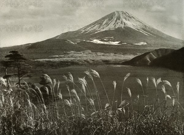 Fuji and the Kaia Grass', 1910.