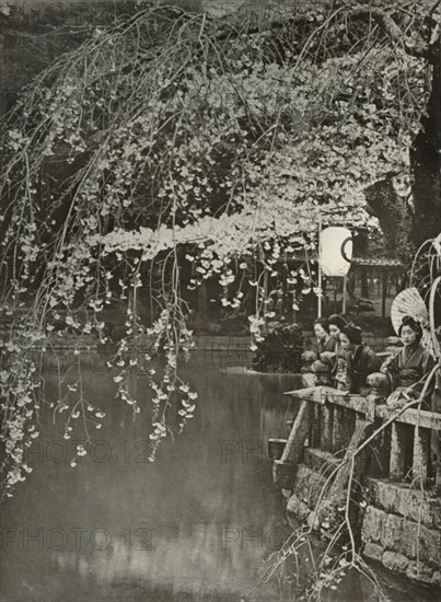 Cherry-Blossom Time in Japan', 1910.