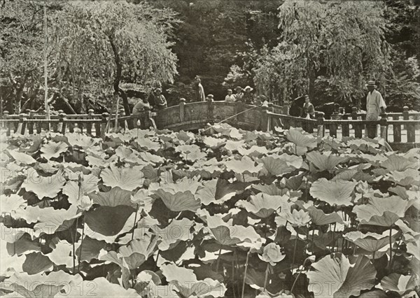 A Lotus Pond', 1910.