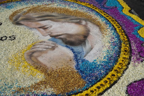 Holy Week Surco Flower Carpet, Lima, Peru, 2015.