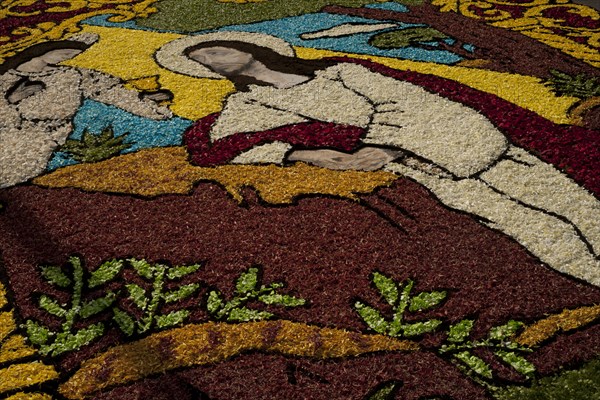 Holy Week Surco Flower Carpet, Lima, Peru, 2015.