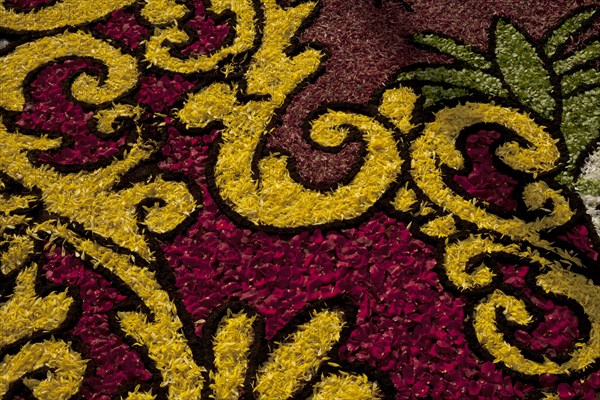 Holy Week Surco Flower Carpet, Lima, Peru, 2015.