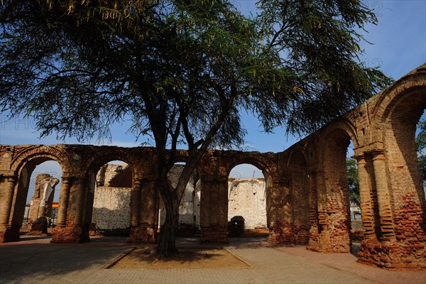 Zaña, Lambayeque, Peru, 2015.