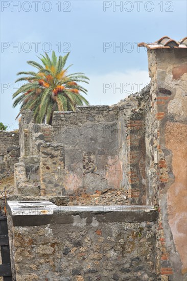 Pompeii, Campania, Naples, Italy, 2015.