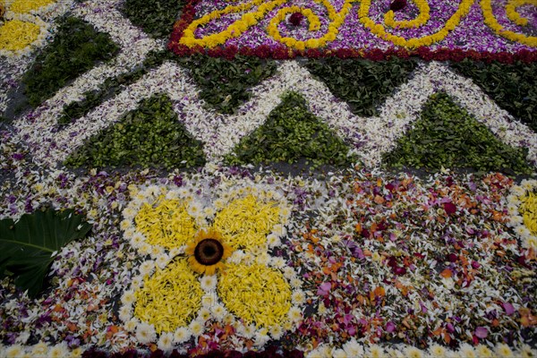 Holy Week Surco Flower Carpet, Lima, Peru, 2015.