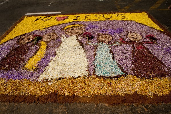 Holy Week Surco Flower Carpet, Lima, Peru, 2015.