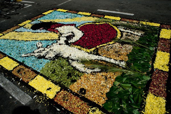 Holy Week Surco Flower Carpet, Lima, Peru, 2015.