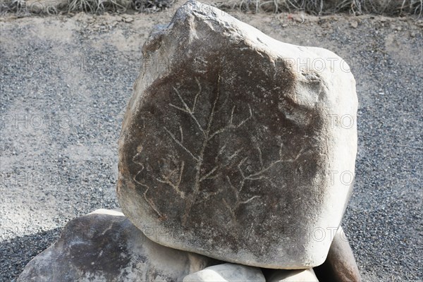 Stone Figures, Miculla Sacred Valley, Tacna, Peru, 2015.