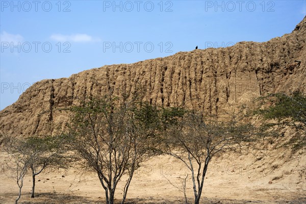 Valle de las Piramides, Tucume, Lambayeque, Peru, 2015.