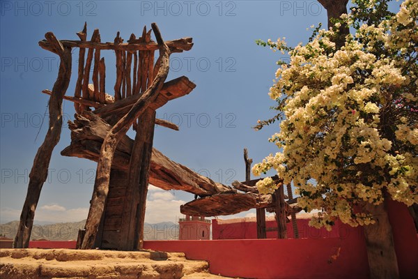 Tacama, Ica, Peru, 2015.