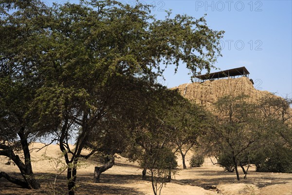 Valle de las Piramides, Tucume, Lambayeque, Peru, 2015.