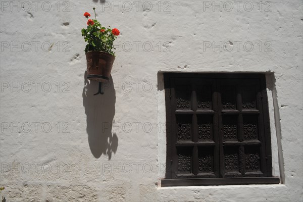 Santa Catalina Monastery, 2015.