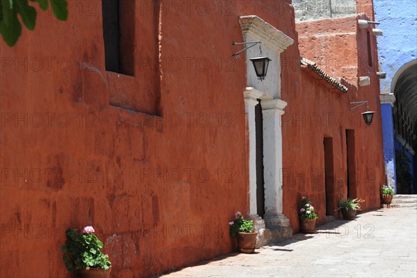 Santa Catalina Monastery, 2015.