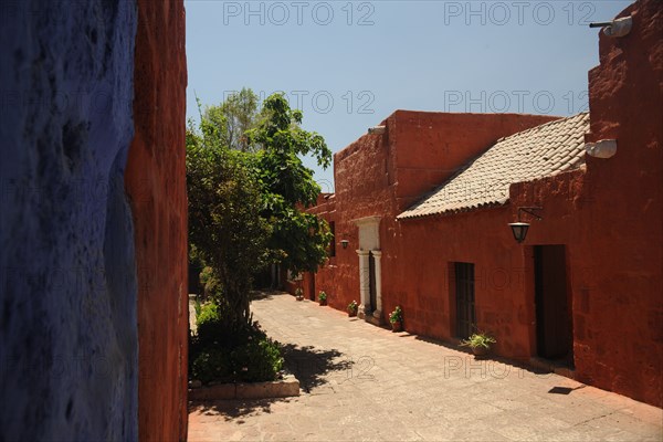 Santa Catalina Monastery, 2015.