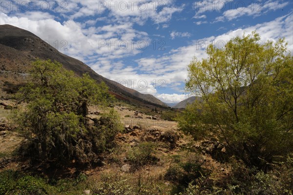 Kotosh, Huanuco, Peru, 2015.