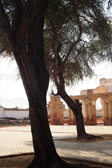 Zaña, Lambayeque, Peru, 2015.