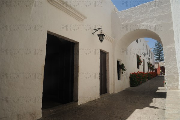 Santa Catalina Monastery, 2015.