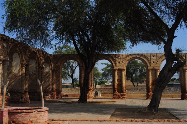 Zaña, Lambayeque, Peru, 2015.