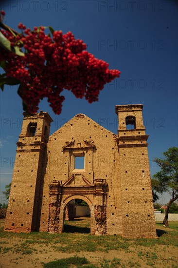 Zaña, Lambayeque, Peru, 2015.