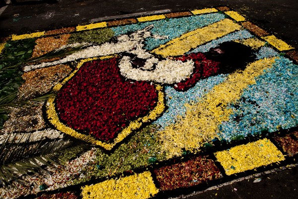 Holy Week Surco Flower Carpet, Lima, Peru, 2015.